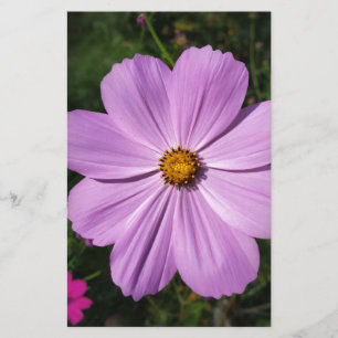 hellrosa Blume Briefpapier