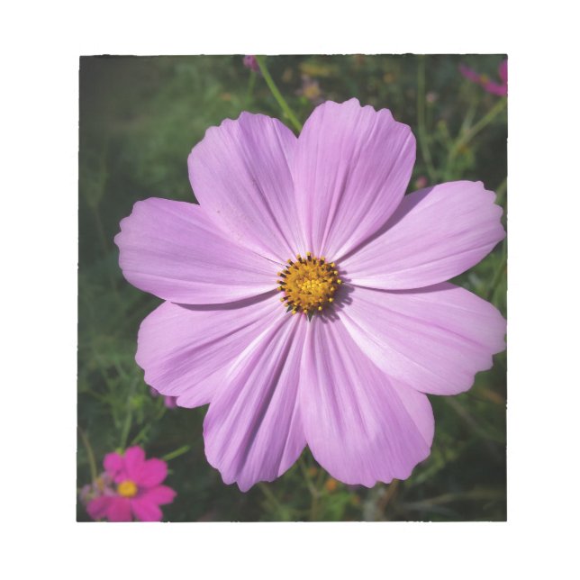 hellrosa Blume Notizblock (Vorderseite)