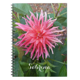 Hellrosa Dahlia Blume. Notizblock