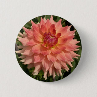 Hellrosa Dahlie-Blumenblatt-Motiv Button