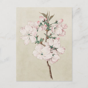 Hellrosa Floral Postkarte