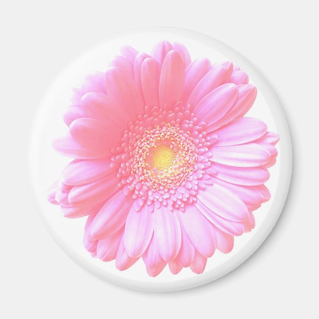 Hellrosa Gänseblümchen Magnet (Vorne)