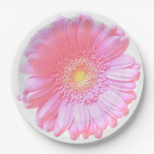 Hellrosa Gänseblümchen Pappteller