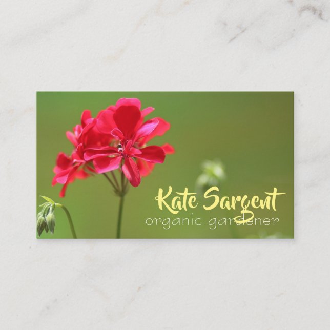 Hellrosa Geranium Floral Business Card Visitenkarte (Vorderseite)