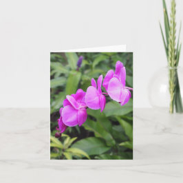 Hellrosa hawaiianische Blume Faltkarte Karte