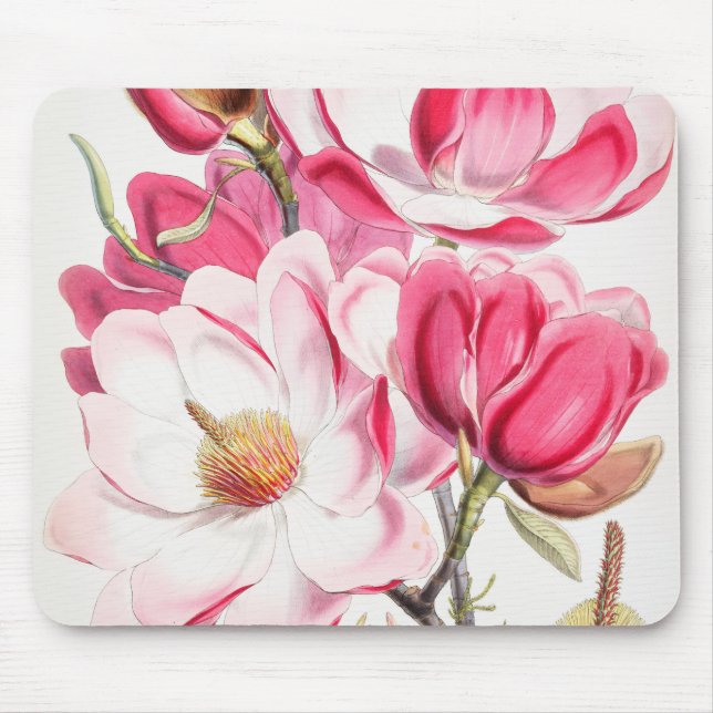Hellrosa Magnolia Maus Pad Mousepad (Vorne)