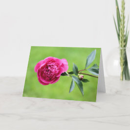 Hellrosa-Peak Dankeskarte