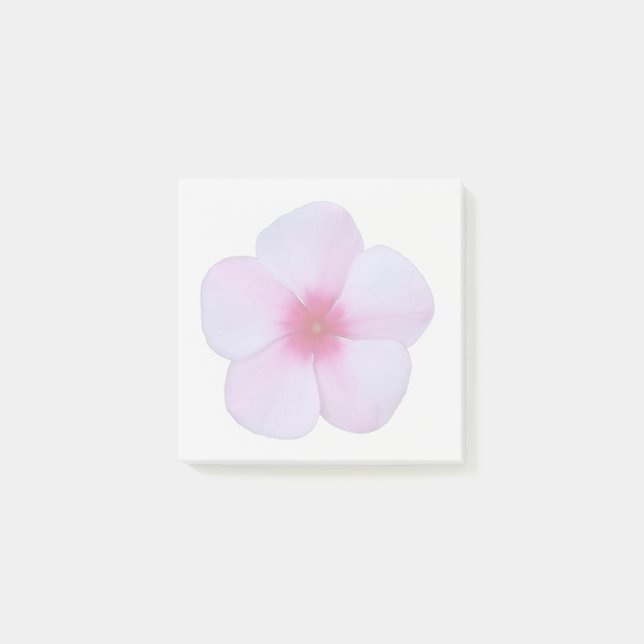Hellrosa Phlox-Haftnotizen Post-it Klebezettel (Vorderseite)
