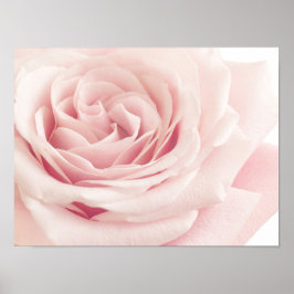 Hellrosa Rose Blume - Rose Blume Blumenstrauß Poster