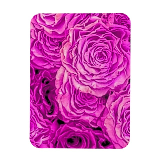 Hellrosa Rosen Magnet (Vertikal)