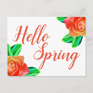 Hellrosa Roses Hallo Frühling Postkarte