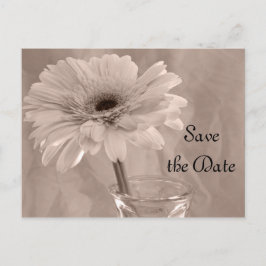 Hellrosa Tinte Daisy Wedding Save the Date Ankündigungspostkarte