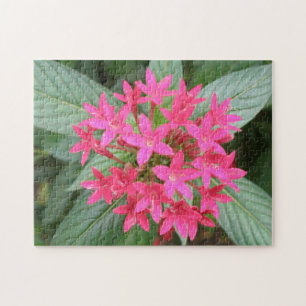 Hellrosa tropische Blume Puzzle