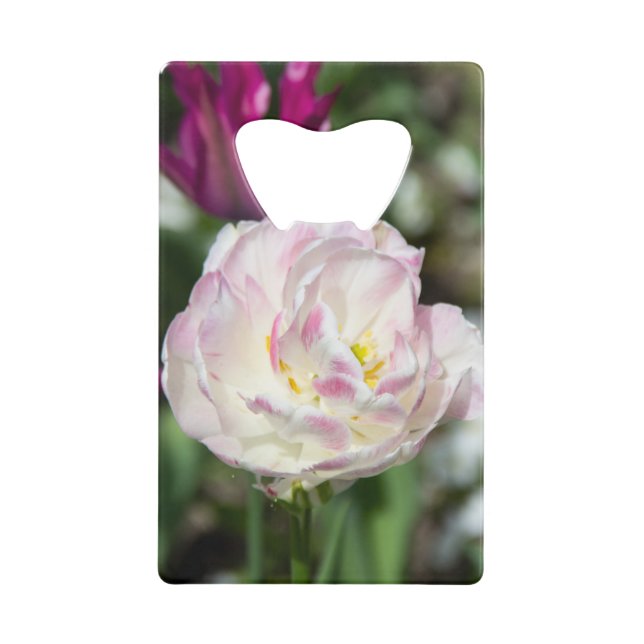 Hellrosa Tulpen an einem sonnigen Tag Geldbeutel Flaschenöffner (Vorderseite)