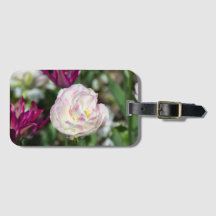 Hellrosa Tulpen an einem sonnigen Tag