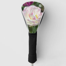 Hellrosa Tulpen an einem sonnigen Tag