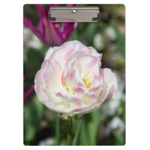 Hellrosa Tulpen an einem sonnigen Tag