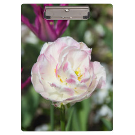 Hellrosa Tulpen an einem sonnigen Tag Klemmbrett