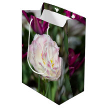 Hellrosa Tulpen an einem sonnigen Tag