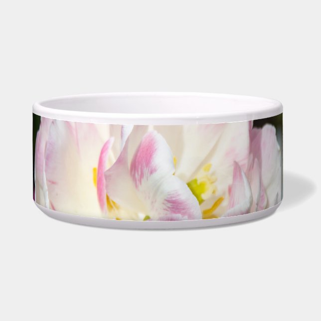 Hellrosa Tulpen an einem sonnigen Tag Napf (Vorderseite)