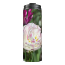 Hellrosa Tulpen an einem sonnigen Tag