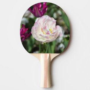 Hellrosa Tulpen an einem sonnigen Tag Tischtennis Schläger
