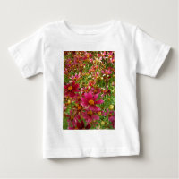 Hellrosa und gelbe Daisy-Blume