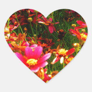 Hellrosa und gelbe Daisy Wilde Blume Herz-Aufkleber