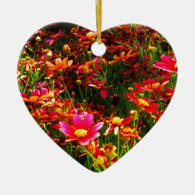Hellrosa und gelbe Daisy Wilde Blume Keramik Ornament (Vorne)