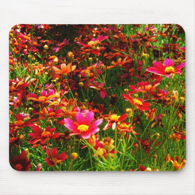 Hellrosa und gelbe Daisy Wilde Blume Mousepad (Vorne)