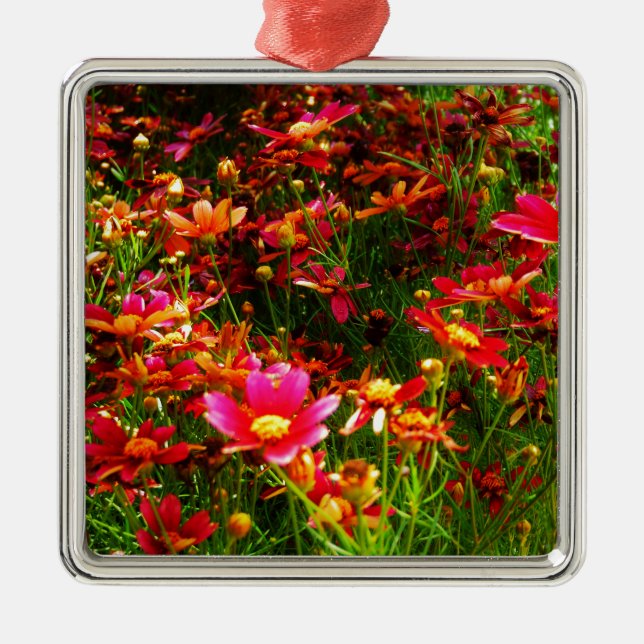Hellrosa und gelbe Daisy Wilde Blume Ornament Aus Metall (Vorne)