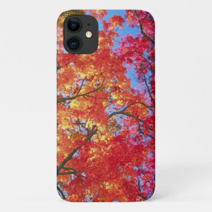 Hellrot, orange und gelb Verlass Herbst Case-Mate iPhone Hülle