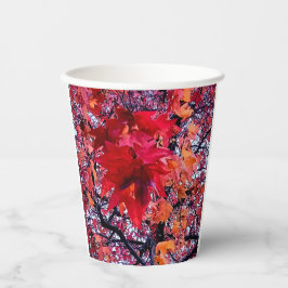 Hellrote Blätter Pappbecher