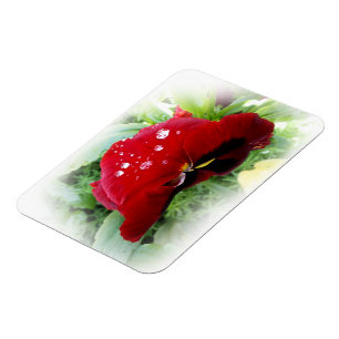 Hellrote Panik Magnet