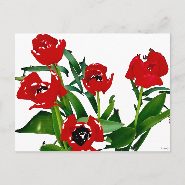 Hellrote Tulips Postkarte (Vorderseite)