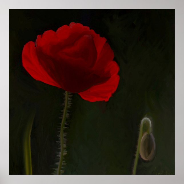 Hellroter Mohn auf dunklem Hintergrund. Poster (Vorne)