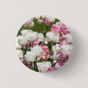 Hellweiße und rosa Tulpen an einem sonnigen Tag Button