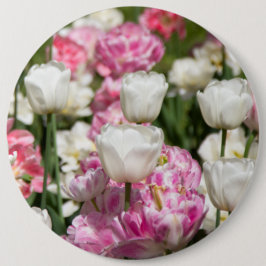 Hellweiße und rosa Tulpen an einem sonnigen Tag Button