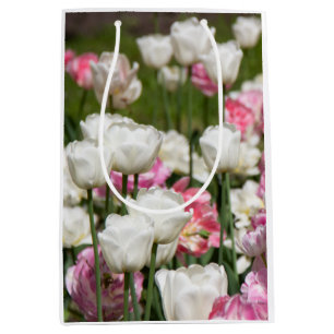 Hellweiße und rosa Tulpen an einem sonnigen Tag Mittlere Geschenktüte