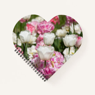 Hellweiße und rosa Tulpen an einem sonnigen Tag Notizbuch
