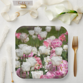 Hellweiße und rosa Tulpen an einem sonnigen Tag Pappteller