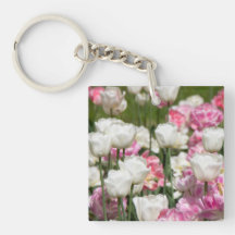 Hellweiße und rosa Tulpen an einem sonnigen Tag