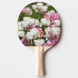 Hellweiße und rosa Tulpen an einem sonnigen Tag Tischtennis Schläger