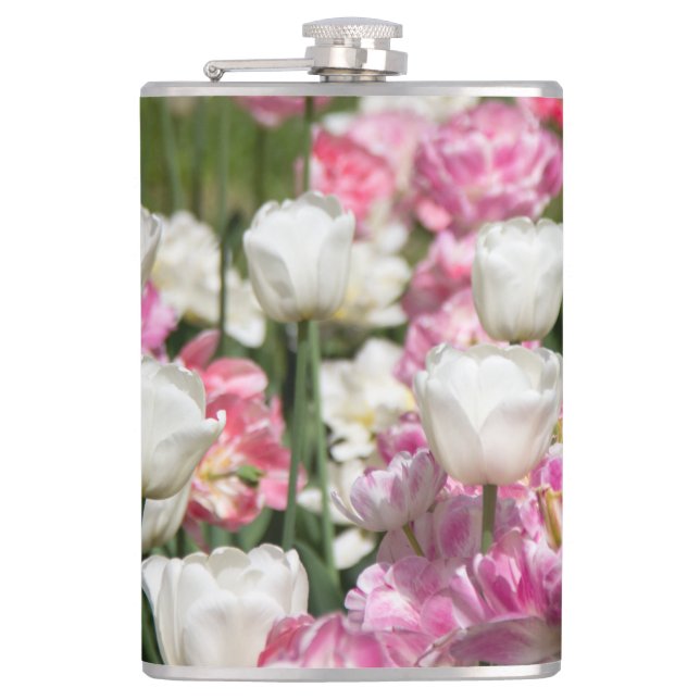 Hellweiße und rosa Tulpen auf sonniger Höhe Flachmann (Vorderseite)