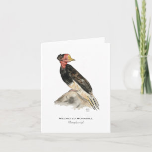 Helmeted Hornbill Folded Note Card Karte