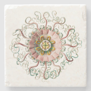 Helmqualle Steinuntersetzer