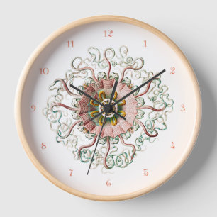 Helmqualle und Korallenziffern Wall Clock Uhr