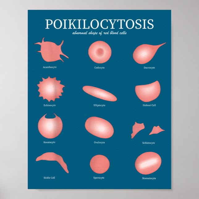 Hematology Red Blood Cell Laboratory Science Hemat Poster (Vorne)