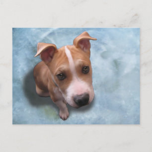 Hemi the Pit Bull Puppy Postkarte