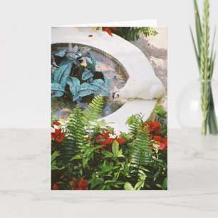 Hemingway Cat 1- Greeting & Note Cards Karte